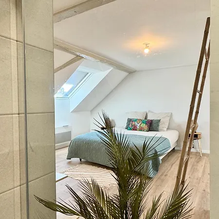 Duplex Mangrove * Wahlbach